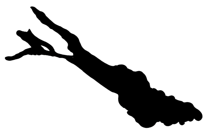 feature-item-1